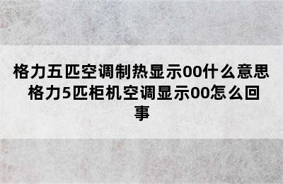 格力五匹空调制热显示00什么意思 格力5匹柜机空调显示00怎么回事